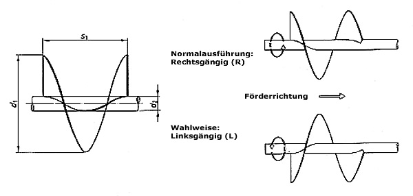 Schneckenflügel - Schneckenblatt Zeichnung